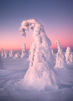 Lapland Finland 2024 Highlights